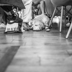 Magia Nart - zdjecie nr 6