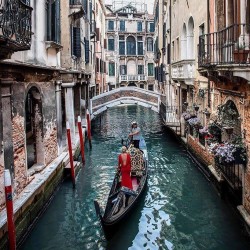 BB Lady in Red - zdjecie nr 4