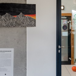 Wielkowiejskość. Wystawa prac Kuby Żeligowskiego - zdjecie nr 9